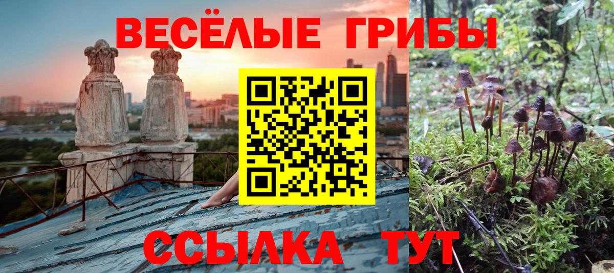 дарнет шоп  Псилоцибиновые грибы мухоморы  Вход с VPN  Галлюциногенные грибы Cubensis  Рузаевка 